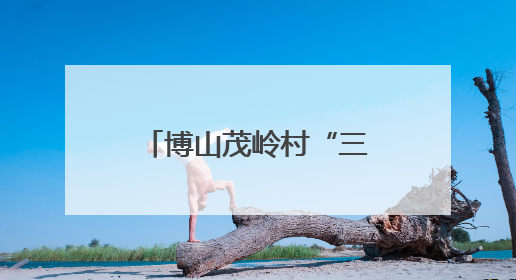 博山茂岭村“三堂”并蒂，解锁乡村文明新风