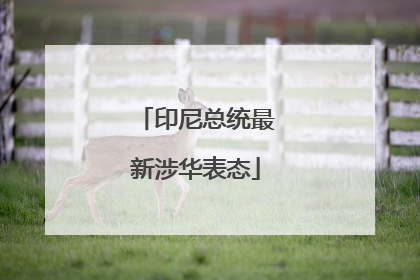 印尼总统最新涉华表态