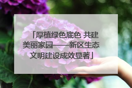 厚植绿色底色 共建美丽家园——新区生态文明建设成效显著
