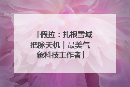 假拉：扎根雪域把脉天机｜最美气象科技工作者