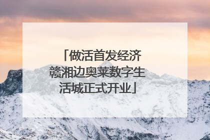 做活首发经济 赣湘边奥莱数字生活城正式开业