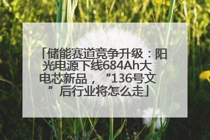 储能赛道竞争升级：阳光电源下线684Ah大电芯新品，“136号文”后行业将怎么走