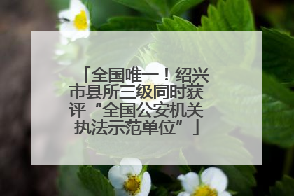 全国唯一！绍兴市县所三级同时获评“全国公安机关执法示范单位”