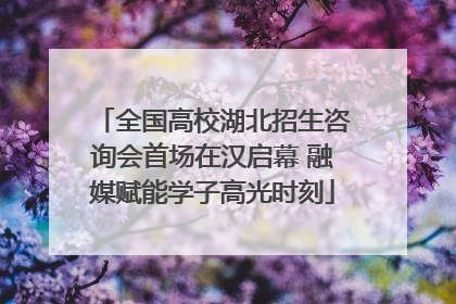 全国高校湖北招生咨询会首场在汉启幕 融媒赋能学子高光时刻