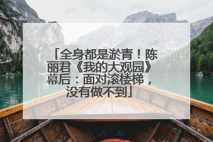 全身都是淤青！陈丽君《我的大观园》幕后：面对滚楼梯，没有做不到