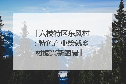 六枝特区东风村：特色产业绘就乡村振兴新图景