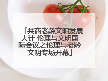 共商老龄文明发展大计 伦理与文明国际会议之伦理与老龄文明专场开幕