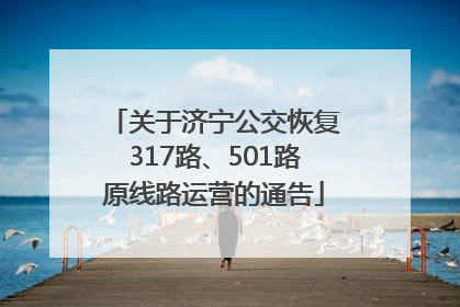 关于济宁公交恢复317路、501路原线路运营的通告