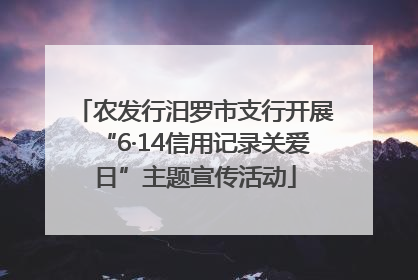 农发行汨罗市支行开展“6·14信用记录关爱日”主题宣传活动