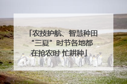 农技护航、智慧种田 “三夏”时节各地都在抢农时 忙耕种