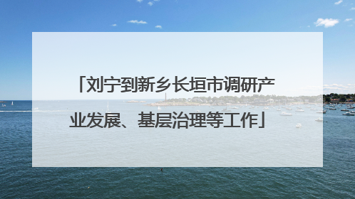 刘宁到新乡长垣市调研产业发展、基层治理等工作