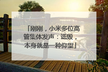 刚刚，小米多位高管集体发声：诋毁，本身就是一种仰望