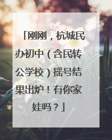 刚刚，杭城民办初中（含民转公学校）摇号结果出炉！有你家娃吗？