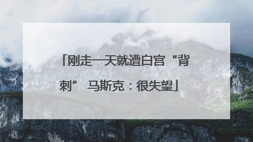 刚走一天就遭白宫“背刺” 马斯克：很失望