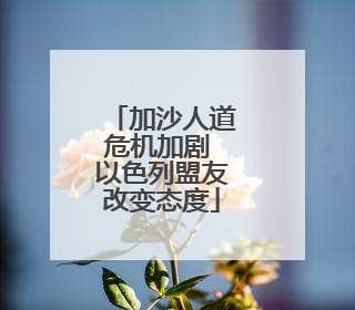 加沙人道危机加剧 以色列盟友改变态度