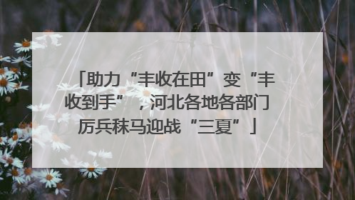 助力“丰收在田”变“丰收到手”，河北各地各部门厉兵秣马迎战“三夏”