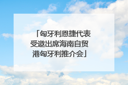 匈牙利恩捷代表受邀出席海南自贸港匈牙利推介会