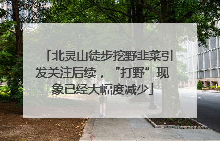 北灵山徒步挖野韭菜引发关注后续，“打野”现象已经大幅度减少