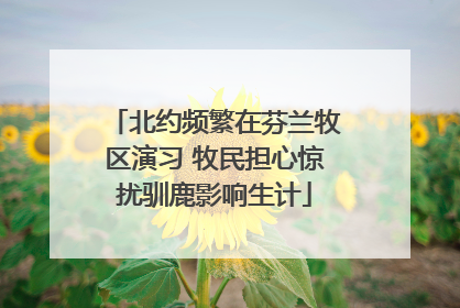 北约频繁在芬兰牧区演习 牧民担心惊扰驯鹿影响生计