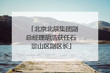 北京北辰集团副总经理胡浩获任石景山区副区长