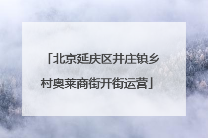 北京延庆区井庄镇乡村奥莱商街开街运营