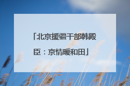 北京援疆干部韩殿臣：京情暖和田