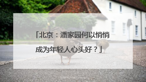 北京：潘家园何以悄悄成为年轻人心头好？