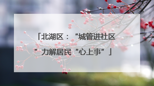 北湖区：“城管进社区”力解居民“心上事”