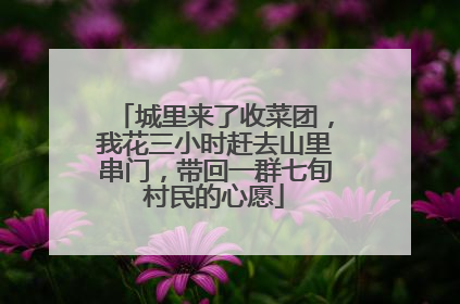 城里来了收菜团，我花三小时赶去山里串门，带回一群七旬村民的心愿