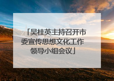 吴桂英主持召开市委宣传思想文化工作领导小组会议