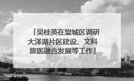 吴桂英在望城区调研大泽湖片区建设、文科旅医融合发展等工作