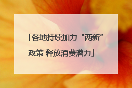 各地持续加力“两新”政策 释放消费潜力