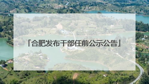 合肥发布干部任前公示公告