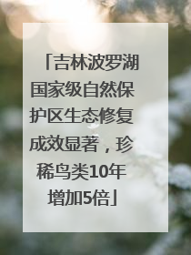 吉林波罗湖国家级自然保护区生态修复成效显著，珍稀鸟类10年增加5倍