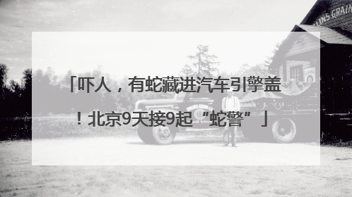 吓人，有蛇藏进汽车引擎盖！北京9天接9起“蛇警”