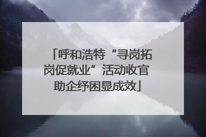 呼和浩特“寻岗拓岗促就业”活动收官 助企纾困显成效