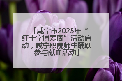 咸宁市2025年“红十字博爱周”活动启动，咸宁职院师生踊跃参与献血活动