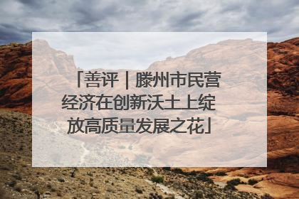 善评｜滕州市民营经济在创新沃土上绽放高质量发展之花