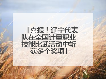喜报！辽宁代表队在全国计量职业技能比武活动中斩获多个奖项
