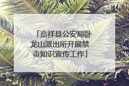 嘉祥县公安局卧龙山派出所开展禁毒知识宣传工作