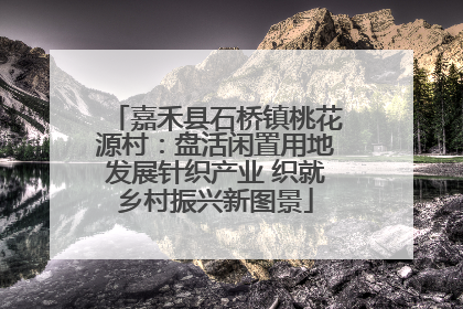 嘉禾县石桥镇桃花源村：盘活闲置用地发展针织产业 织就乡村振兴新图景