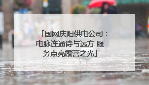 国网庆阳供电公司：电脉连通诗与远方 服务点亮露营之光