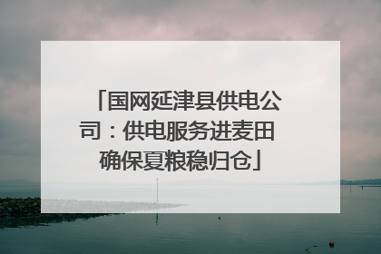 国网延津县供电公司：供电服务进麦田 确保夏粮稳归仓