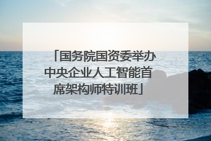 国务院国资委举办中央企业人工智能首席架构师特训班