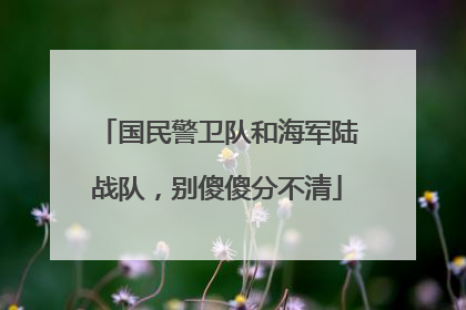 国民警卫队和海军陆战队，别傻傻分不清