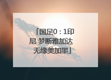 国足0∶1印尼 梦断雅加达 无缘美加墨