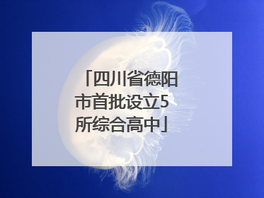 四川省德阳市首批设立5所综合高中
