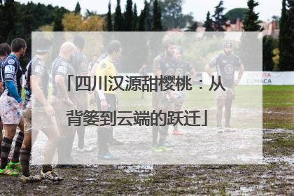 四川汉源甜樱桃：从背篓到云端的跃迁