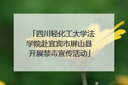 四川轻化工大学法学院赴宜宾市屏山县开展禁毒宣传活动