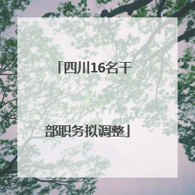 四川16名干部职务拟调整